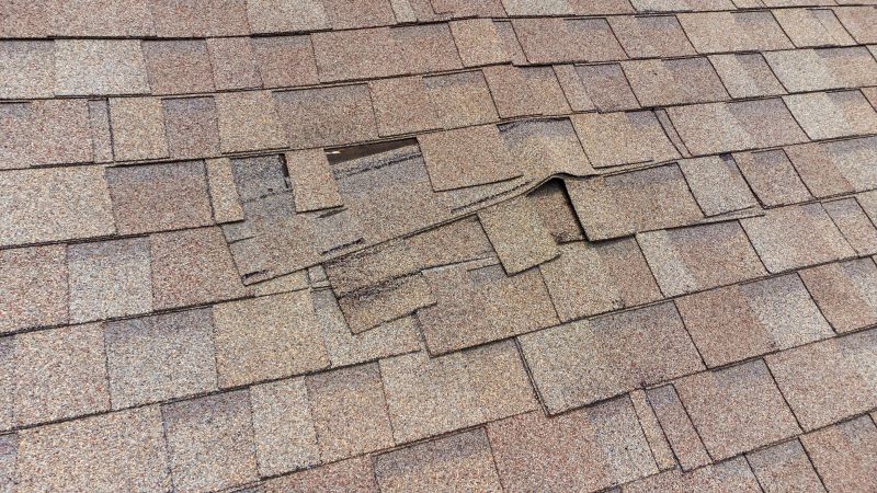 Roof Repair and Restoration